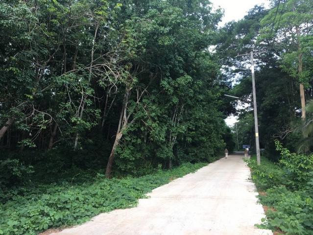 ที่ดิน 50000000 ฉะเชิงเทรา สนามชัยเขต ลาดกระทิง ที่ดิน 50000000 ฉะเชิงเทรา สนามชัยเขต ลาดกระทิง