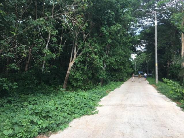 ที่ดิน 50000000 ฉะเชิงเทรา สนามชัยเขต ลาดกระทิง ที่ดิน 50000000 ฉะเชิงเทรา สนามชัยเขต ลาดกระทิง