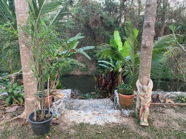บ้านเดี่ยว 5500000 เชียงใหม่ สันกำแพง สันกลาง บ้านเดี่ยว 5500000 เชียงใหม่ สันกำแพง สันกลาง