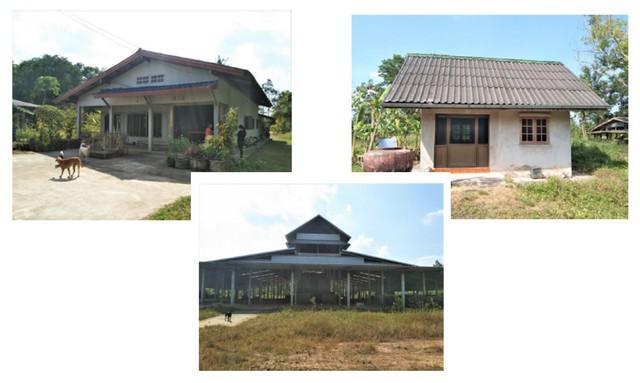 บ้านเดี่ยว 19130000 นครศรีธรรมราช ชะอวด ชะอวด บ้านเดี่ยว 19130000 นครศรีธรรมราช ชะอวด ชะอวด