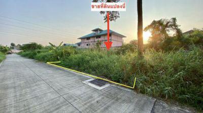 ที่ดิน 1500000 สมุทรสาคร กระทุ่มแบน อ้อมน้อย