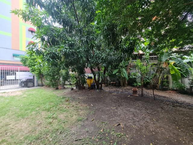 บ้านเดี่ยว 38000000 กรุงเทพมหานคร เขตบางซื่อ บางซื่อ บ้านเดี่ยว 38000000 กรุงเทพมหานคร เขตบางซื่อ บางซื่อ