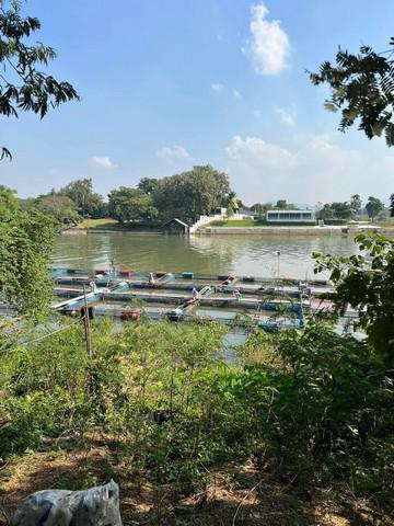 ที่ดิน 12500000 กาญจนบุรี เมืองกาญจนบุรี หนองหญ้า ที่ดิน 12500000 กาญจนบุรี เมืองกาญจนบุรี หนองหญ้า