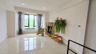 อาคารพาณิชย์ 4900000 กรุงเทพมหานคร เขตบางขุนเทียน แสมดำ
