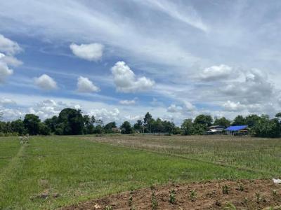 ที่ดิน 1876000 เชียงใหม่ สันทราย เมืองเล็น
