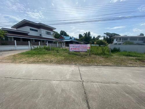 ที่ดิน 1250000 ตาก เมืองตาก ไม้งาม ที่ดิน 1250000 ตาก เมืองตาก ไม้งาม