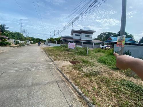 ที่ดิน 1250000 ตาก เมืองตาก ไม้งาม ที่ดิน 1250000 ตาก เมืองตาก ไม้งาม