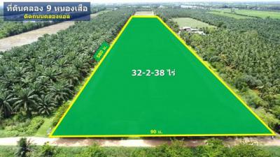 ที่ดิน 780000 ปทุมธานี หนองเสือ บึงชำอ้อ