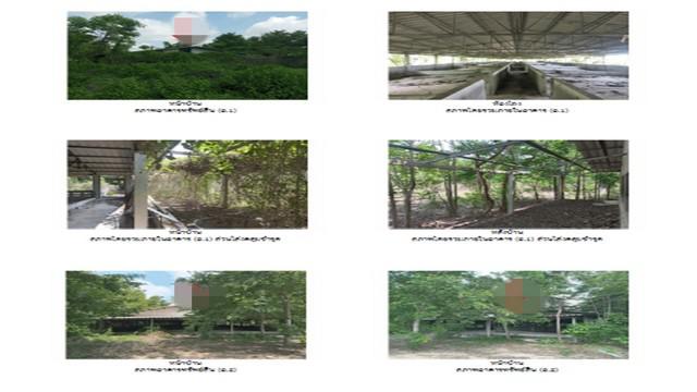 โกดัง 9450000 พิษณุโลก บางระกำ หนองกุลา โกดัง 9450000 พิษณุโลก บางระกำ หนองกุลา