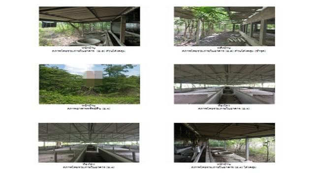 โกดัง 9450000 พิษณุโลก บางระกำ หนองกุลา โกดัง 9450000 พิษณุโลก บางระกำ หนองกุลา