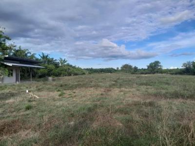 ที่ดิน 35000000 ชุมพร เมืองชุมพร บางลึก
