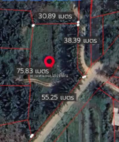ที่ดิน 1890000 ชุมพร เมืองชุมพร วังไผ่