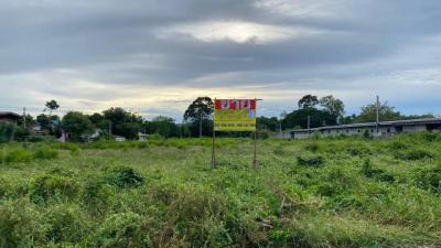 ที่ดิน 4500000 ระยอง บ้านฉาง สำนักท้อน