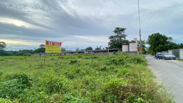 ที่ดิน 4500000 ระยอง บ้านฉาง สำนักท้อน ที่ดิน 4500000 ระยอง บ้านฉาง สำนักท้อน