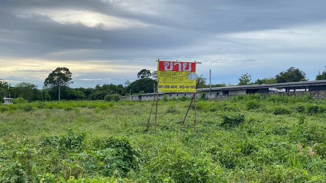 ที่ดิน 4500000 ระยอง บ้านฉาง สำนักท้อน ที่ดิน 4500000 ระยอง บ้านฉาง สำนักท้อน
