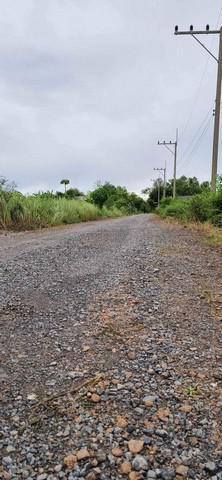 ที่ดิน 270000 ปทุมธานี หนองเสือ บึงบา