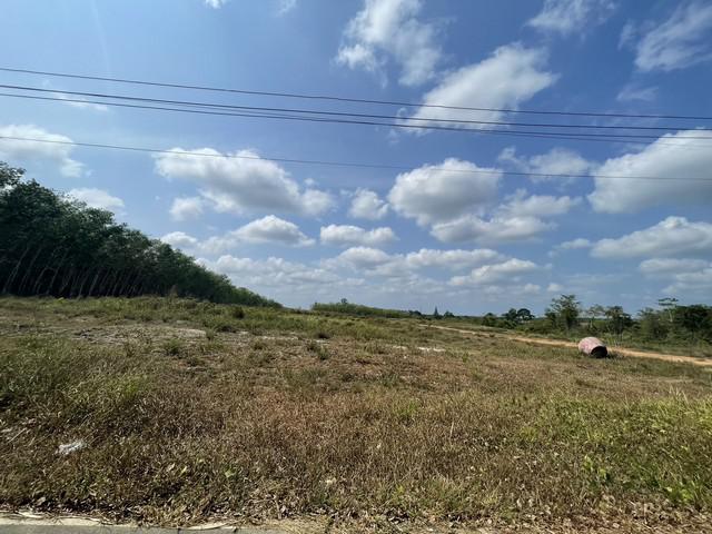 ที่ดิน 15180000 นครศรีธรรมราช ทุ่งสง ที่วัง ที่ดิน 15180000 นครศรีธรรมราช ทุ่งสง ที่วัง