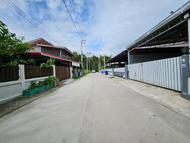 บ้านเดี่ยว 1590000 ชลบุรี พานทอง หนองหงษ์ บ้านเดี่ยว 1590000 ชลบุรี พานทอง หนองหงษ์