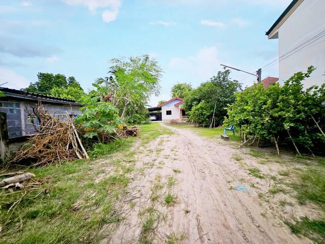ที่ดิน 4500000 ชลบุรี พานทอง มาบโป่ง ที่ดิน 4500000 ชลบุรี พานทอง มาบโป่ง