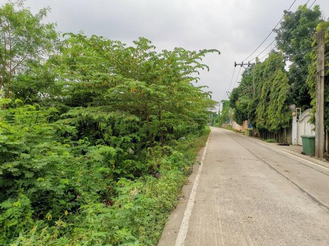 ที่ดิน 48000000 นนทบุรี บางกรวย บางขนุน ที่ดิน 48000000 นนทบุรี บางกรวย บางขนุน