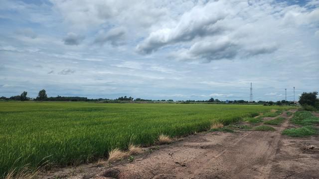 ที่ดิน 250000 สุพรรณบุรี สองพี่น้อง เนินพระปรางค์ ที่ดิน 250000 สุพรรณบุรี สองพี่น้อง เนินพระปรางค์