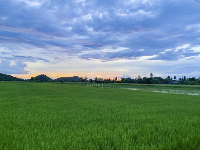 ที่ดิน 3490000 สุพรรณบุรี เดิมบางนางบวช ยางนอน ที่ดิน 3490000 สุพรรณบุรี เดิมบางนางบวช ยางนอน