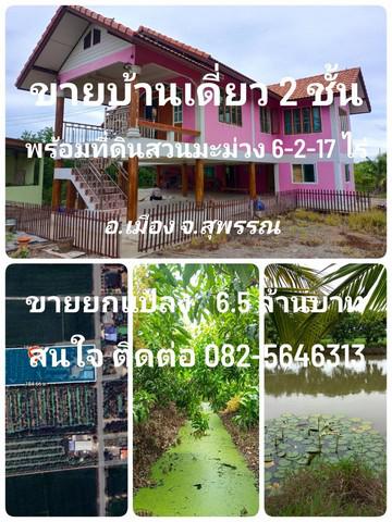 บ้านเดี่ยว 6500000 สุพรรณบุรี เมืองสุพรรณบุรี ดอนตาล บ้านเดี่ยว 6500000 สุพรรณบุรี เมืองสุพรรณบุรี ดอนตาล