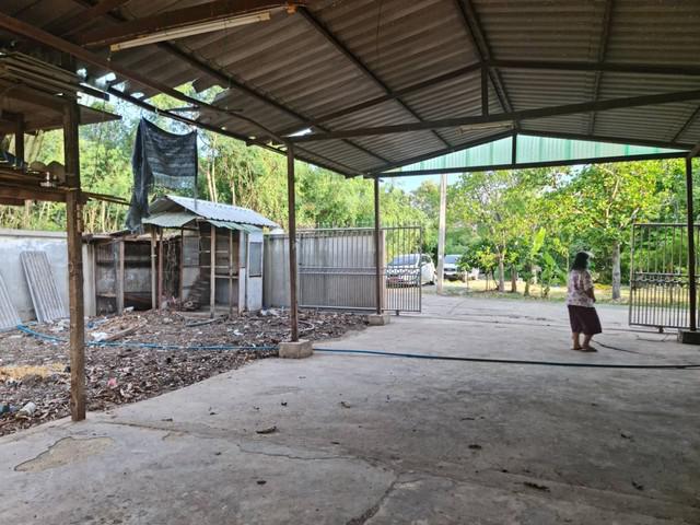 บ้านเดี่ยว 3300000 นนทบุรี บางใหญ่ บ้านใหม่ บ้านเดี่ยว 3300000 นนทบุรี บางใหญ่ บ้านใหม่