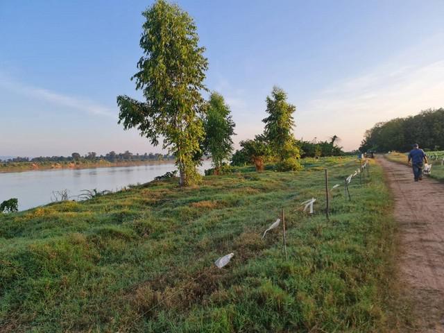 ที่ดิน 800000 หนองคาย ที่ดิน 800000 หนองคาย