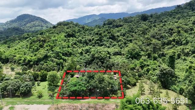 บ้านเดี่ยว 3500000 นครนายก เมืองนครนายก เขาพระ บ้านเดี่ยว 3500000 นครนายก เมืองนครนายก เขาพระ