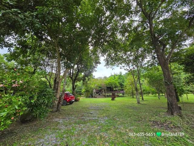 บ้านเดี่ยว 3500000 นครนายก เมืองนครนายก เขาพระ บ้านเดี่ยว 3500000 นครนายก เมืองนครนายก เขาพระ