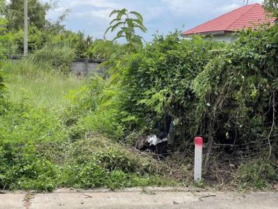 ที่ดิน 750000 ปทุมธานี หนองเสือ บึงบา