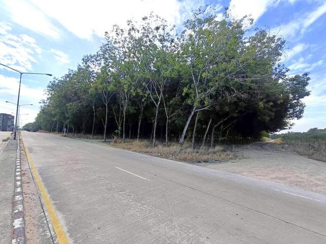 ที่ดิน 2990000 ระยอง ปลวกแดง ปลวกแดง ที่ดิน 2990000 ระยอง ปลวกแดง ปลวกแดง