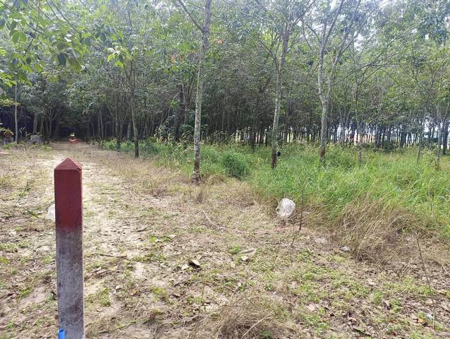 ที่ดิน 2990000 ระยอง ปลวกแดง ปลวกแดง ที่ดิน 2990000 ระยอง ปลวกแดง ปลวกแดง