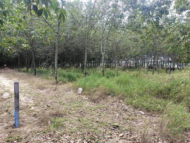 ที่ดิน 2990000 ระยอง ปลวกแดง ปลวกแดง ที่ดิน 2990000 ระยอง ปลวกแดง ปลวกแดง