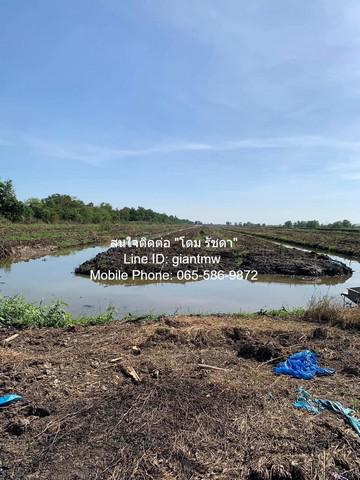 ที่ดิน 170000000 ปทุมธานี ธัญบุรี บึงน้ำรักษ์ ที่ดิน 170000000 ปทุมธานี ธัญบุรี บึงน้ำรักษ์