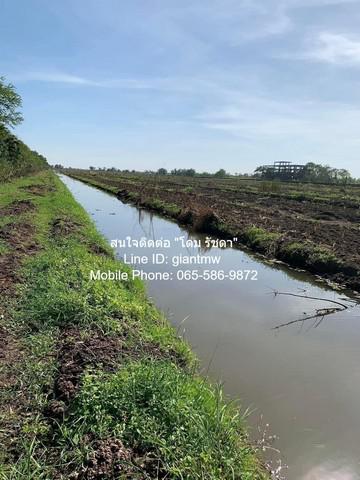 ที่ดิน 170000000 ปทุมธานี ธัญบุรี บึงน้ำรักษ์ ที่ดิน 170000000 ปทุมธานี ธัญบุรี บึงน้ำรักษ์