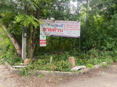 ที่ดิน 600000 เชียงใหม่ สันป่าตอง ยุหว่า