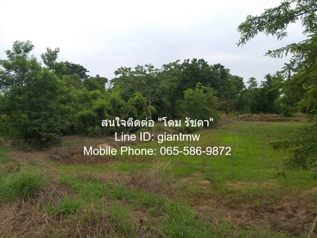ที่ดิน 16890300 ชัยภูมิ เมืองชัยภูมิ บ้านเล่า ที่ดิน 16890300 ชัยภูมิ เมืองชัยภูมิ บ้านเล่า