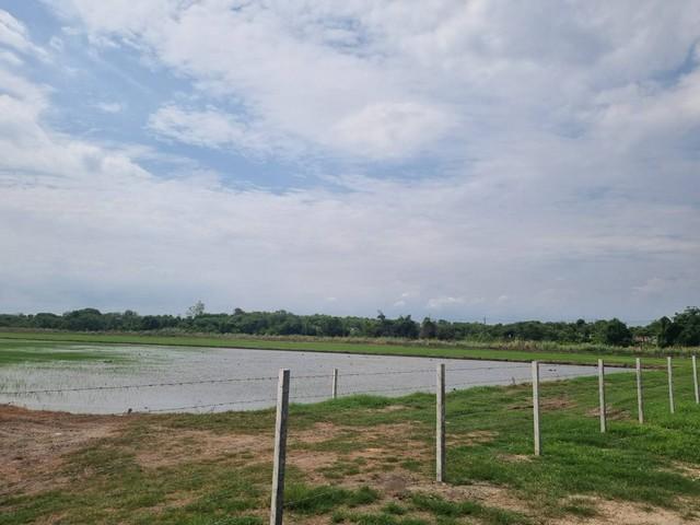 ที่ดิน 3000000 ฉะเชิงเทรา เมืองฉะเชิงเทรา คลองอุดมชลจร ที่ดิน 3000000 ฉะเชิงเทรา เมืองฉะเชิงเทรา คลองอุดมชลจร