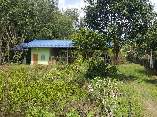 ที่ดิน 2600000 ระยอง บ้านค่าย ชากบก ที่ดิน 2600000 ระยอง บ้านค่าย ชากบก