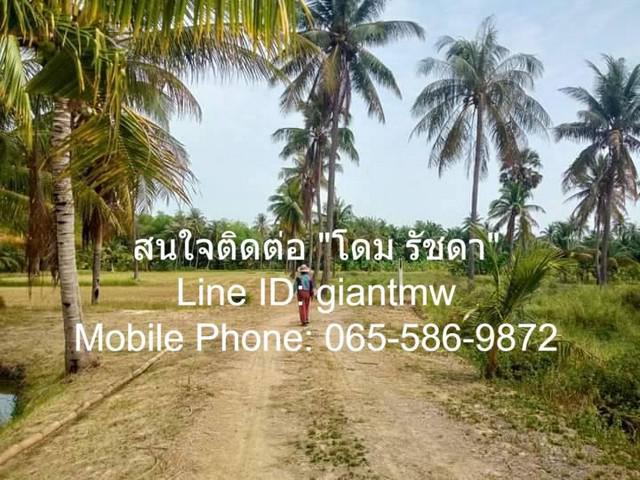 ที่ดิน 2100000 ประจวบคีรีขันธ์ กุยบุรี สามกระทาย ที่ดิน 2100000 ประจวบคีรีขันธ์ กุยบุรี สามกระทาย