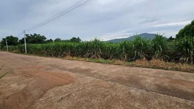 ที่ดิน 600000 ชลบุรี บ่อทอง เกษตรสุวรรณ