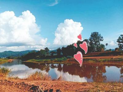 ที่ดิน 800000 น่าน ท่าวังผา ศรีภูมิ