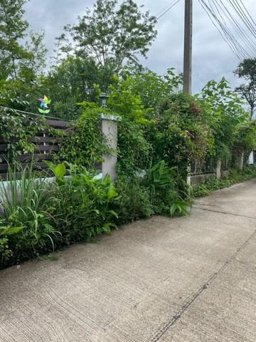 ที่ดิน 3900000 เชียงใหม่ แม่ริม ดอนแก้ว ที่ดิน 3900000 เชียงใหม่ แม่ริม ดอนแก้ว