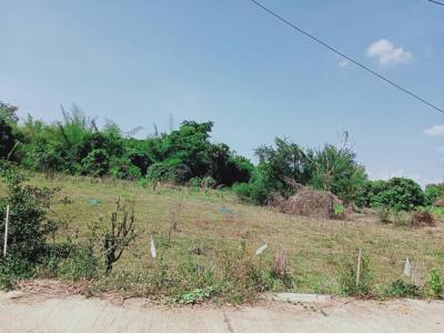 ที่ดิน 4292100 เพชรบุรี แก่งกระจาน พุสวรรค์