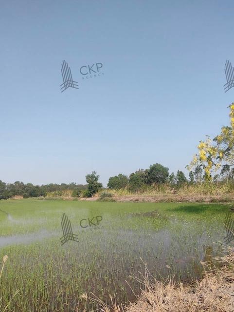ที่ดิน 2200000 นครปฐม บางเลน ไผ่หูช้าง ที่ดิน 2200000 นครปฐม บางเลน ไผ่หูช้าง