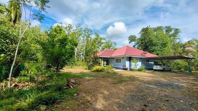 ที่ดิน 5200000 ตรัง เมืองตรัง นาบินหลา ที่ดิน 5200000 ตรัง เมืองตรัง นาบินหลา