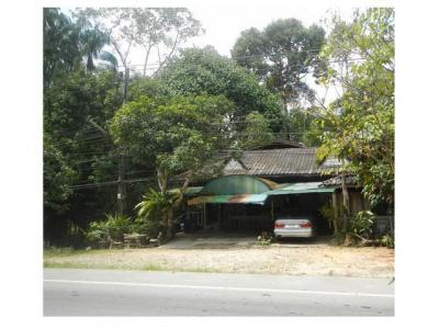 บ้านเดี่ยว 1050000 นราธิวาส สุไหงปาดี โต๊ะเด็ง