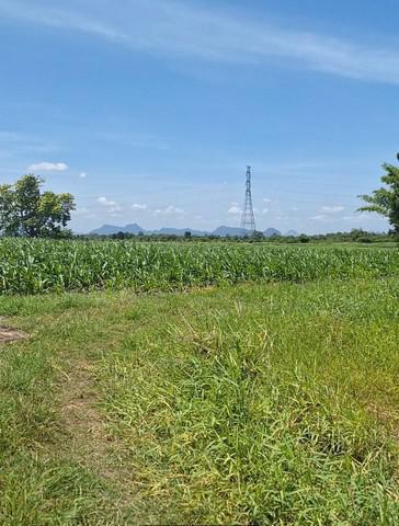 ที่ดิน 14670000 สระบุรี พระพุทธบาท นายาว